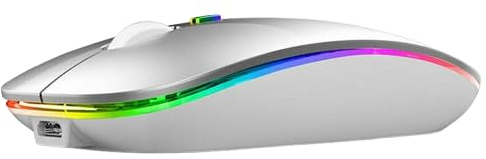Western Gadget Souris sans fil, mince, portable, double mode 2,4 GHz + Bluetooth, silencieuse, ergonomique, compatible avec PC, Mac (argent)