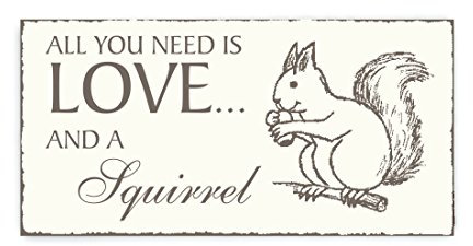 Shield Deko Schild All you Need is Love and A Squirrel Squirrel Vintage Keepsake Wooden Plaque/Sign Door Sign Forester Hunter