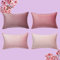 Topfinel Kissenbezug rosa 30x50 4er Set Samt Farbverlauf Kissenbezüge Kissenhülle sofakissen dekokissen Zierkissen Bezug deko für Sofa Schlafzimmer Wohnzimmer Balkon weich