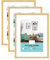 3 cadres photo en bois, clairs, avec passe-partout, pour impression A4 ou 10,16 - 10,16 x 15,24 cm, cadre pour diplôme et poster, avec plexiglas, pour affichage mural, 30 x 40 cm
