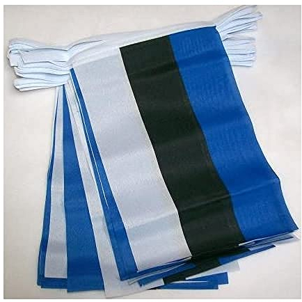 AZ FLAG - Fahnenkette Estland 6 Meter Mit 20 Flaggen - 21x14 cm - Estnische Girlande Flaggenkette 14 x 21 Cm