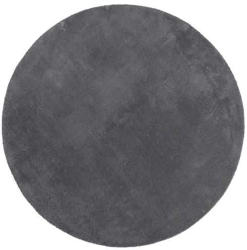 vidaXL Teppich, Wohnzimmerteppich Kurzflor Weich Waschbar, Moderner Teppich Rund für Wohnzimmer Schlafzimmer, Flauschig Einfarbig rutschfest, Anthrazit Ø 120cm