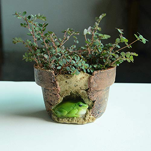xiangshang shangmao Pots de fleurs en résine pour plantes succulentes - Décoration de jardin (grenouille)
