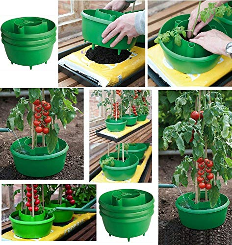 Optimal Products Green Plant Halos 6 x Pots Watering Crop Support 29cm Dia and 13cm (H) (GREEN PACK OF 6)