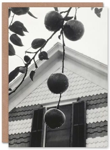 Artery8 Alfred Stieglitz Art Card Gable and Apples Vintage Photograph