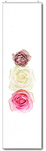 Schiebegardine Flächenvorhang DREI Rosen Digitaldruck mit Paneelwagen, Klemmleiste, Schiebevorhang mit Flauschband (Oben angenäht) 245 x 60 cm