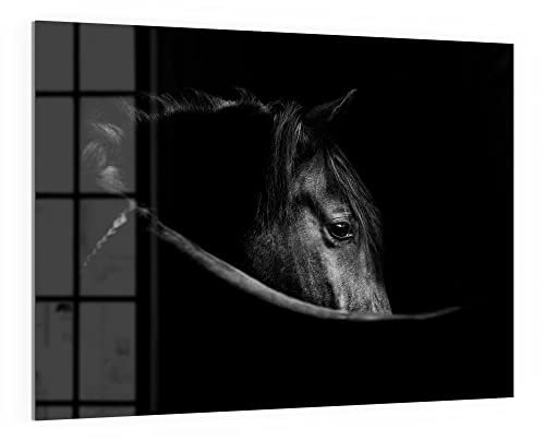 DEQORI Glas-Magnettafel | 120x90 cm groß | Motiv Schönes Pferd im Profil | Memo-Board aus Glas | Magnetboard inkl. Magnete, Stift & Tuch für Küche & Büro | Tafel magnetisch & beschreibbar