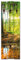 ARTLAND Wandgarderobe Garderobenpaneel Holz mit 5 Haken 45x140 cm Design Garderobe mit Motiv Natur Wald Bach Herbst Grün T9IO