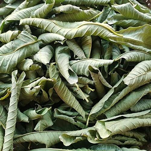 Guter Kräuter Guave-Blatt Tee China Original Dufttee Kräutertee Natürlicher Bio-Blumentee Grünes Essen ohne Zusatzstoffe Früchtetee (500g)