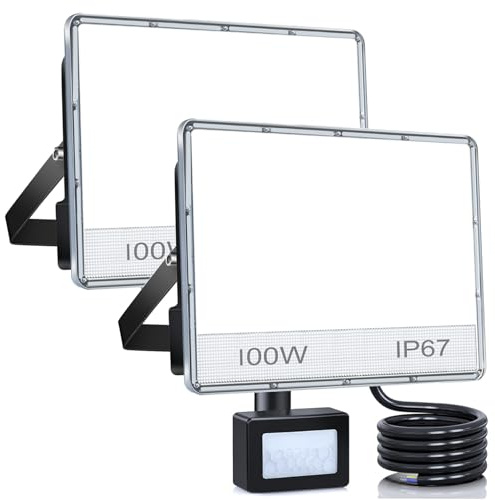 ANNIFUNLY Projecteur LED Extérieur avec Détecteur, 2 Pieces 100W 10000LM Spot LED Extérieur Avec Detecteur IP67 Etanche Projecteur Exterieur 6500K, Lampe de Sécurité pour Jardin Garage Patio