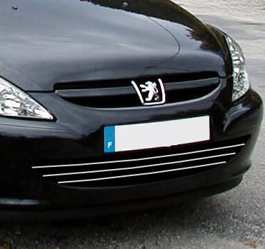 Luxyline Baguette de calandre chromée Compatible Peugeot 307 01-05 Peugeot 307 CC 01-05 Peugeot 307 SW 01-05