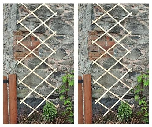 Garden Mile Lot de 2 treillis extensibles en bois pour jardin - Treillis en bois extensible pour plantes grimpantes - Support pour plantes grimpantes - Cloison de séparation pour pelouse de jardin
