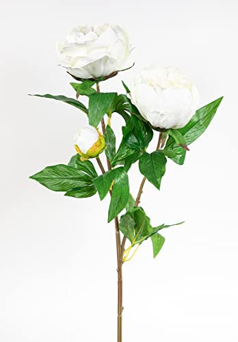 Pfingstrose Nature 68cm weiß GA Kunstblumen Seidenblumen künstliche Blumen Päonie
