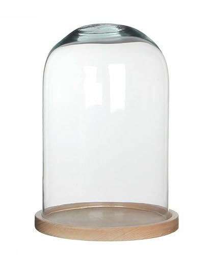 Generico Teca Cupola Campana Vetro Con Base Presepe Diorama Statua Espositore 30x19cm
