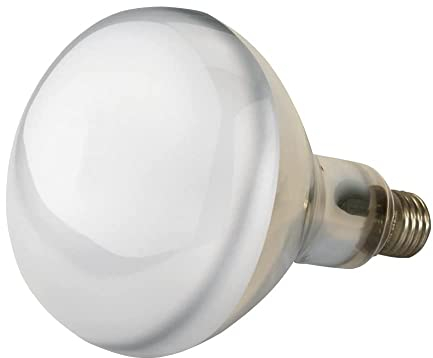 Kerbl Infrarotlampe klar (150 W, Wärmelampe für Schweine + Geflügel, Laufzeit max. 5000 Stunden, Lampensockel E27, Stalllampe) 22243