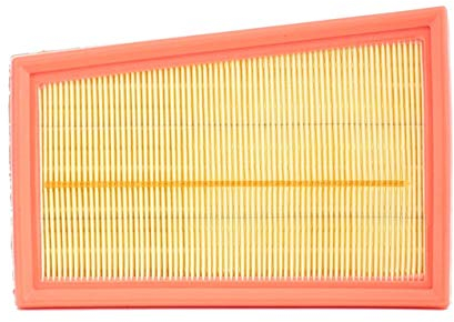 VALEO 585152 Filtro aria Filtri motore elevati proprietà di filtrazione, durevolezza, applicazione facile e precisa