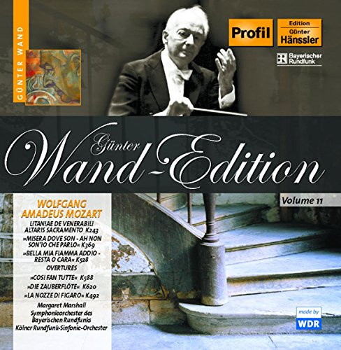 Gunter Wand Edition: Volume 11
