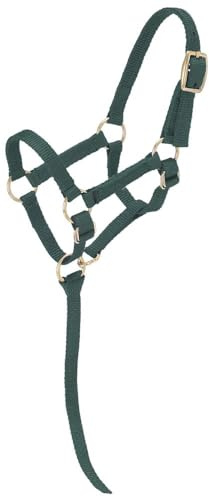 Tough1 Miniature Nylon Halter - Hunter Green - Medium