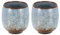 sourcing map Lot de 2 tasses à thé chinoises en céramique 163 g traditionnelles Gong Fu en céramique maté sans poignée Petite tasse à café pour maté, thé, café, vin, boissons, bleu clair