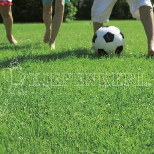 Kiepenkerl RSM 2.3 Gebrauchsrasen Spielrasen mit Poa supina 10 kg, Rasensamen, Rasensaat