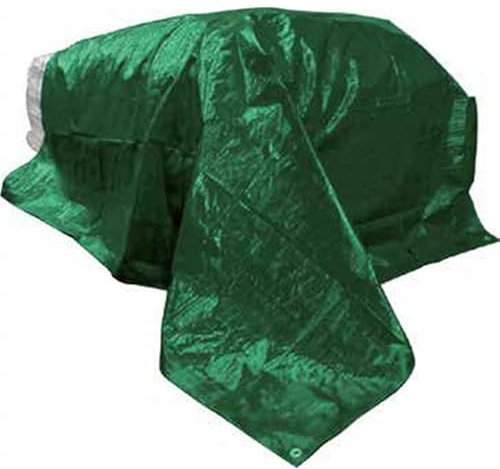 Toldo reforzado 6 x 10 m verde gramaje 120 gr/m², lona de polietileno con ojales, lona impermeable