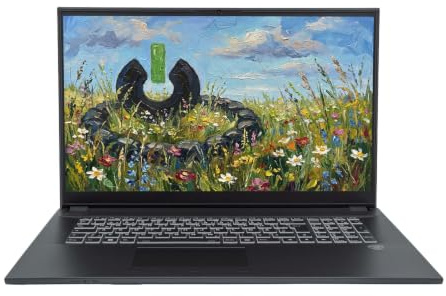 JodaBook C17 Pure | 17,3 FHD | Core i5 1235U | RAM: 32GB | SSD: 500GB | Laptop in Schwarz | DVD-Brenner | RGB beleuchtete Tastatur | Windows 11 Pro | Rucksack