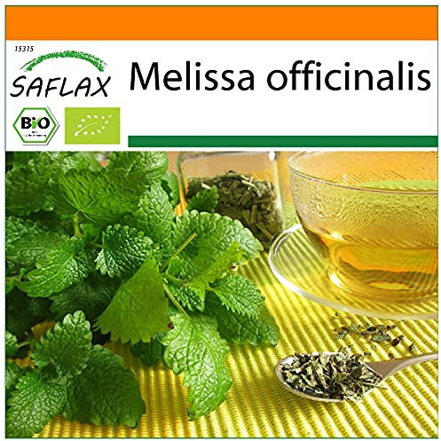 SAFLAX - - BIO - Melissa - 1000 semi - Melissa officinalis