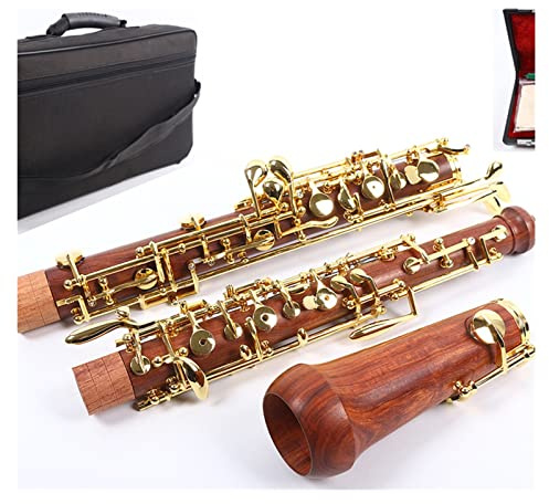 Oboe C-Taste Links F-Resonanz-Palisander-Körper Goldener Plattierter Schlüssel Mit OBOE-Gehäuse Oboe Instrument