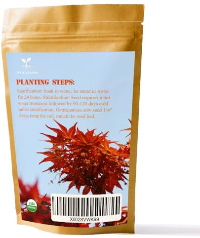 Japanische Bonsai-Samen aus rotem Ahorn - 30 Premium-Samen für den Anbau schöner Bäume - Ideal für Gartenbegeisterte