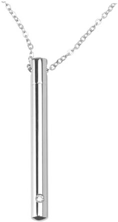WOFASHPURET 1 Stück Parfüm Flasche Halskette memorial anhänger ascheschmuck Gedenk Halskette Hund Haustier Muschel Anhänger zur Parfümaufbewahrung Urnenbehälter Stahl Silver