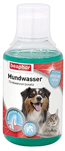 BEAPHAR - Mundwasser Für Hunde Und Katzen - Trinkwasserzusatz - Schützt vor Plaque Und Zahnstein - Frischer Atem - Mit Menthol - Keine Bürste Erforderlich - 250ml