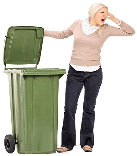 BinRocks™ Garbage Pan DEOdorising Rocks - Rubbish Bin Odour Eliminator & Freshener - 100% Natural & Re-usable (1.6kg)