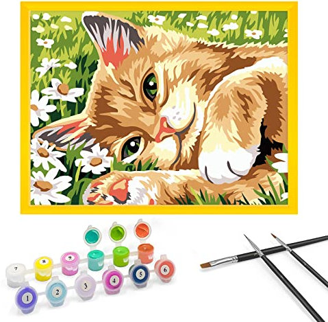 Zimrobin Peinture au Numéro Enfant 9 10 11 Ans - Kit d'Art Comprenant Peintures Acryliques, Cadre Photo et 3 Pinceaux (Chaton en Fleur)