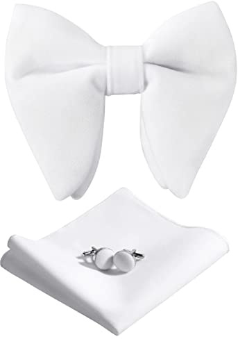 PACGOTH Fliegenset für Herren, vorgebundene Fliege, Vintage, für Smoking, übergroße Samt-Fliege, Manschettenknöpfe, Einstecktuch, Set mit Geschenkbox, Weiss/opulenter Garten, Oversized