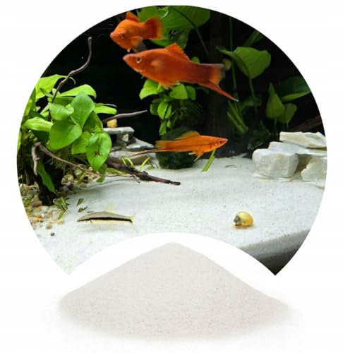 TD STONES Feiner Quarzsand – 0,5-1mm Körnung – Weicher Aquariensand für Süß- & Meerwasseraquarien, Schonend für Empfindliche Fische, Stabilisiert Ökosystem & Fördert Pflanzenwachstum – 2kg