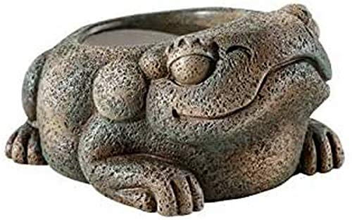 Exo Terra Wassernapf, im Azteken Style, Wassernapf als Frosch