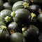Semillas De CalabacíN Redondas Verduras De Invierno Plantas Vegetales Verduras De BalcóN Semillas De Cama Elevadas ExóTicas Plantas ExóTicas De JardíN Plantas Trepadoras 20 Semillas CalabacíN