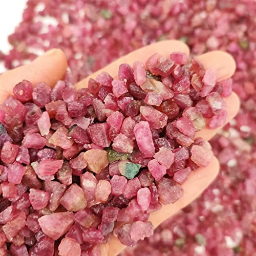 FACSER Natürlicher Kristall rau 100 g Bulk Natürlicher roter Turmalin Kies Rock Rohkristall Probe Edelstein Aquarium Dekor