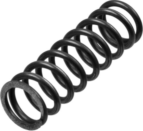 TRW MEF144-6 Clutch Spring Set Compatible for Honda CBR (- 600CC) - and Other Vehicles