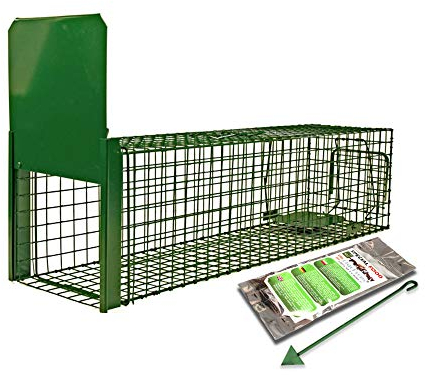 Holtaz Fallen Strong Grün 120x34x34 cm 1 Tür Marderfalle Katzenfalle Fuchsfalle Biberfalle Tierfalle Kastenfalle Drahtfalle Lebendfalle Mit Extra Köder