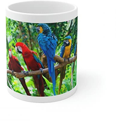 Jm-Déco Mug Perroquets - Idée Cadeau - Tasse en céramique