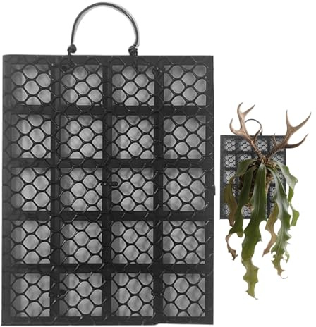 Platte für Farn Elchhorn | Wandplatte für Farn Elchhorn - Montage für Platycerium Orchideen im Schlafzimmer, Büro, Balkon, Veranda, Innen- und Außenbereich