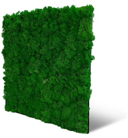 JANGAL Modular Wall Nature Moos Paneel (52 x 52 cm), Modulares Wandpaneel, mit recyceltem PET-Filz, zum Kleben oder Schrauben, Wandverkleidung, Wand Deko, Mooswand (Nature Green Moos)