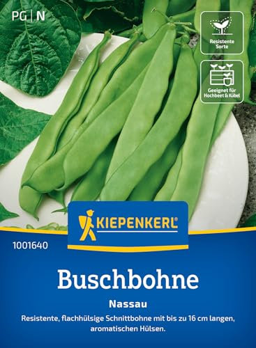 Kiepenkerl Buschbohnensamen Nassau 1001640 - Bohnensamen für eine resistente Schnittbohne mit bis zu 16 cm langen Hülsen und einem Inhalt für 6 bis 8 lfd. Meter