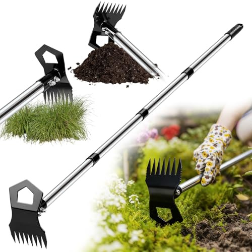 Strumento per rimuovere erbacce con manico lungo, zappa da giardino 2 in 1 e rastrello per erbacce, resistente per giardino, prato e aiuole