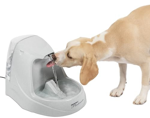 Drinkwell PetSafe Platinum - Fuente de Agua para Gatos (4,762.7 g/5L) – Fuente para Mascotas para Todos los tamaños de Mascotas, Uso en Interiores, fomenta más Beber, Incluye Filtro de Carbono