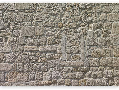 murando® Fotomural 500x280 cm - Top - Papel tejido-no tejido. Fotomurales - XXL -Papel pintado - Piedra Textura Muro f-A-0454-a-a