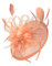 Caprilite Peach Nude Sinamay Disc Saucer Fascinator Hat for Women Weddings Headband