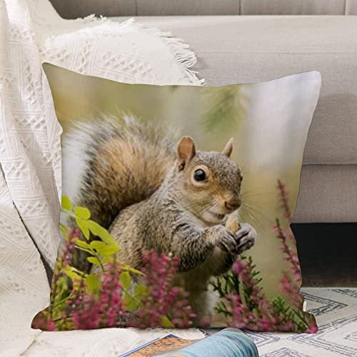 Kissenbezug 45x45 cm,Eichhörnchen, das Nüsse Blumenblumen isst,Outdoor Kissen Kissenbezüge Kissenhülle Sofa Kissen dekokissen Zierkissen für Wohnzimmer Garten deko draußen