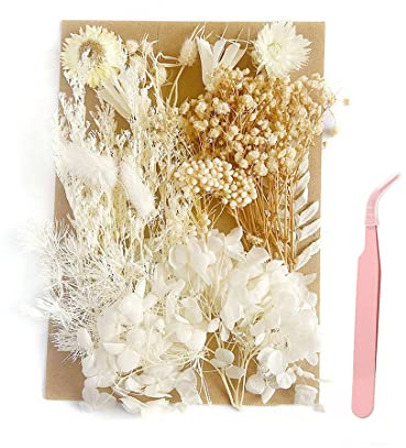 SJBAUTYO Natürliche Getrocknete Blumen,Trockenblumen Set,DIY Gepresste Blumen,Getrocknete Blumen für Kunst DIY Harz Scrapbooking Handwerk Karten Machen(Weiß)